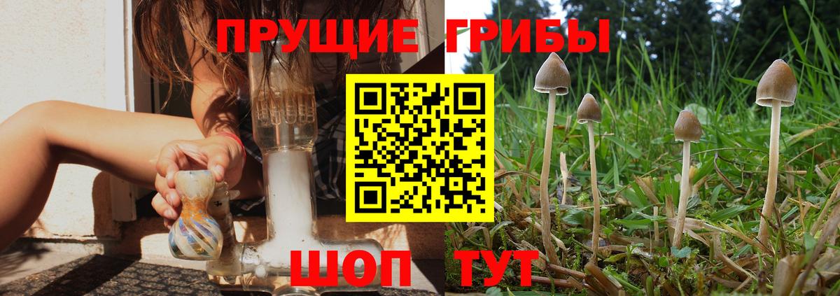 Галлюциногенные грибы мицелий  Вход с VPN  Галлюциногенные грибы GOLDEN TEACHER  Усинск 